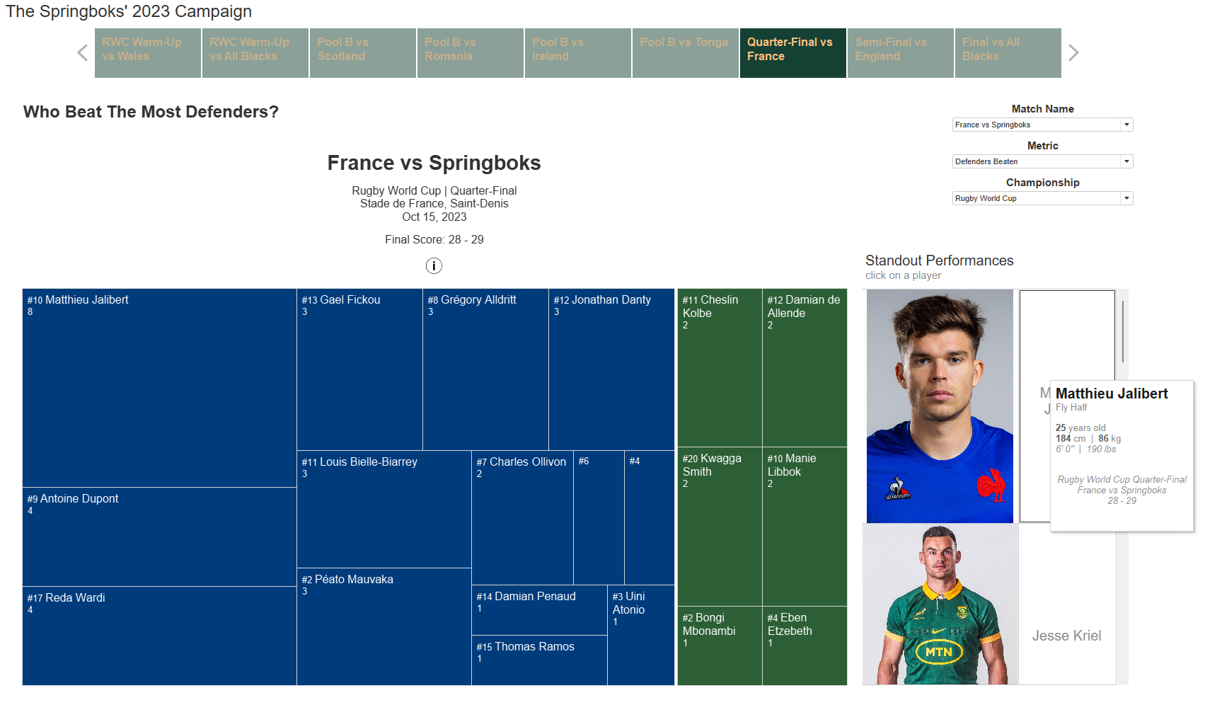 Springboks RWC Campaign Visualization